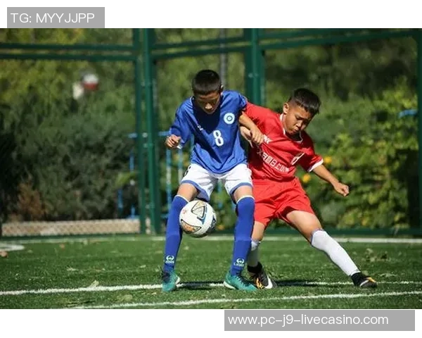 卡塔尔足球崛起之路探秘：从小国到国际赛场的辉煌历程